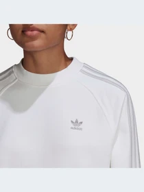 Худи и свитшоты Adidas Adicolor модель HF7531 Фото