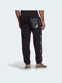 Штани Adidas Graphics модель HF4878 Фото