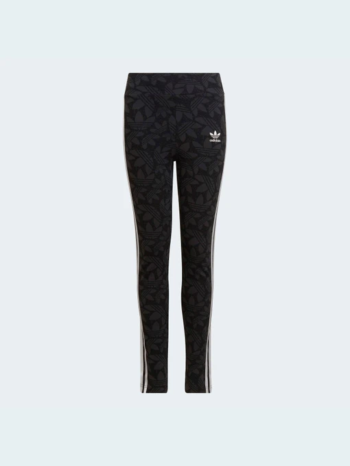 Штани Adidas Graphics модель HF4871 Фото