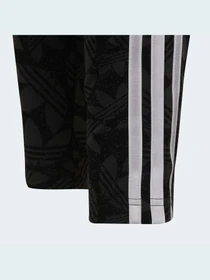 Штани Adidas Graphics модель HF4871 Фото