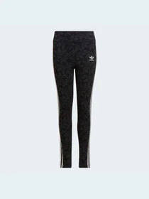 Штани Adidas Graphics модель HF4871 Фото