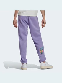 Штани Adidas Graphics модель HC7147 Фото