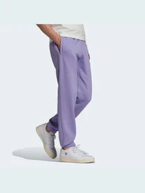 Штани Adidas Graphics модель HC7147 Фото