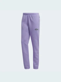 Штани Adidas Graphics модель HC7147 Фото