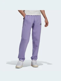Штани Adidas Graphics модель HC7147 Фото