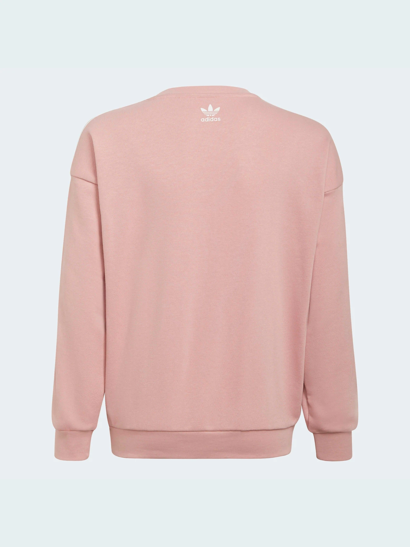 Худі та світшоти Adidas Graphics модель HC4559 Худі та світшоти Adidas Graphics модель HC4559 Фото