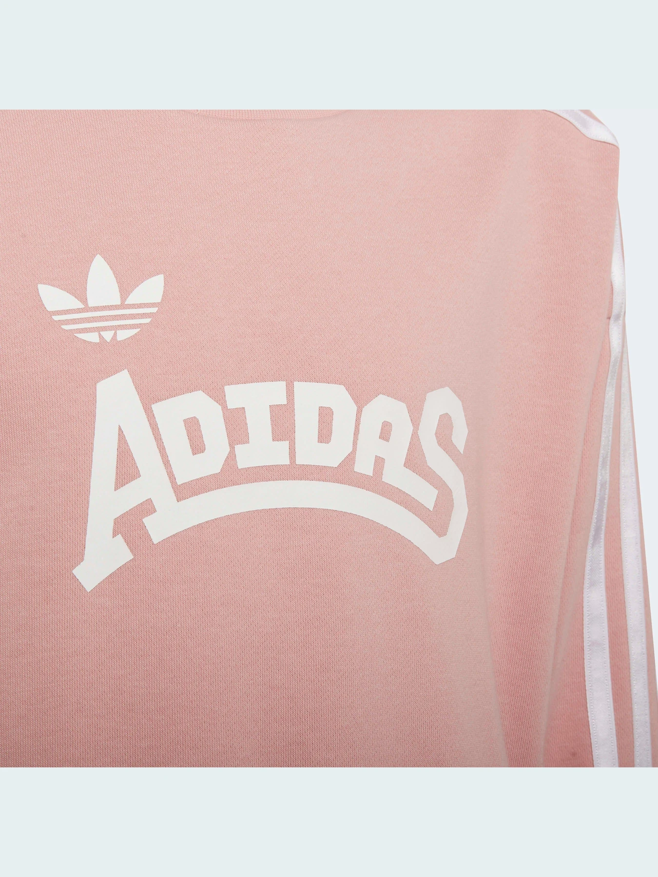 Худі та світшоти Adidas Graphics модель HC4559 Худі та світшоти Adidas Graphics модель HC4559 Фото