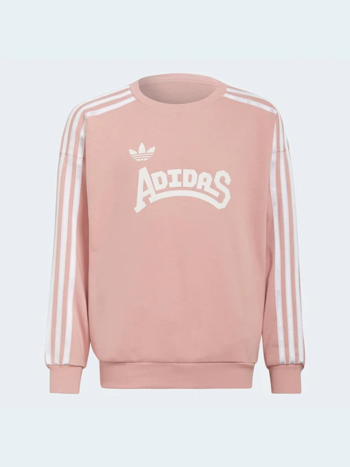 Худи и свитшоты Adidas Graphics модель HC4559 Фото