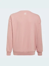 Худі та світшоти Adidas Graphics модель HC4559 Фото