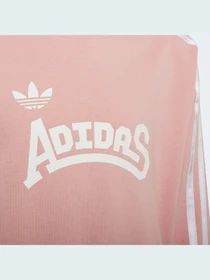 Худі та світшоти Adidas Graphics модель HC4559 Фото