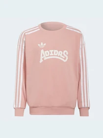 Худі та світшоти Adidas Graphics модель HC4559 Фото