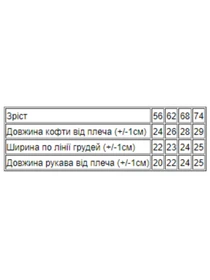 Худи и свитшоты Носи своє модель 5036-024-4-zvrqta Фото