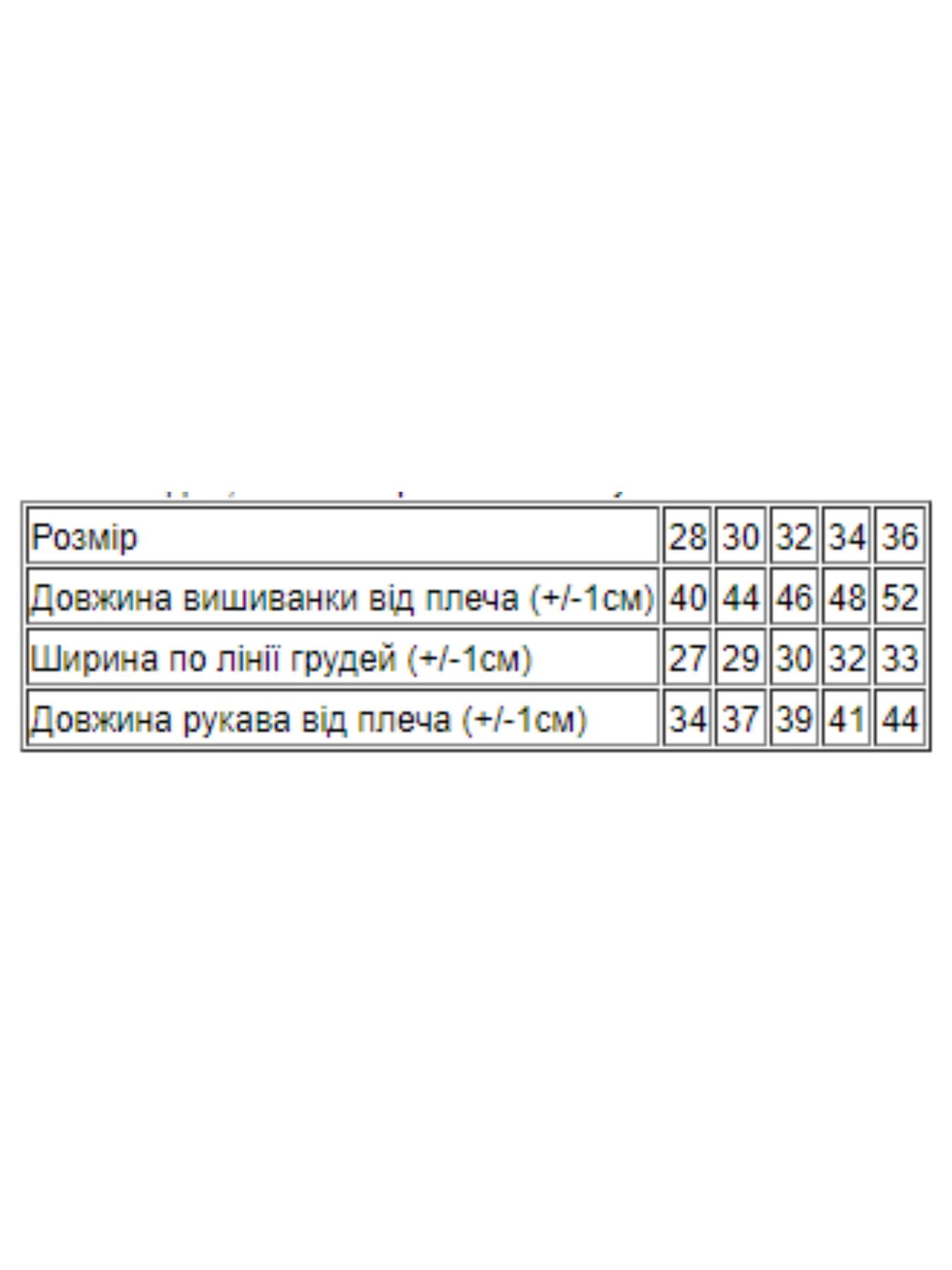 Вышиванки Носи своє модель 9943-015-22v-blakitnij Вышиванки Носи своє модель 9943-015-22v-blakitnij Фото