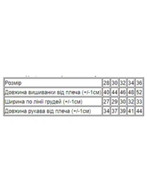 Вышиванки Носи своє модель 9943-015-22v-blakitnij Фото