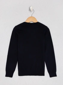 Свитры и кардиганы US Polo модель G083SZ0TK.000.877703.VR033 Фото