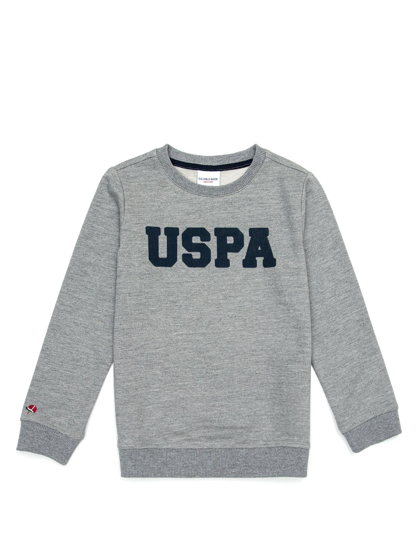 Худи и свитшоты US Polo модель G083SZ082.000.1259385.VR086 Фото