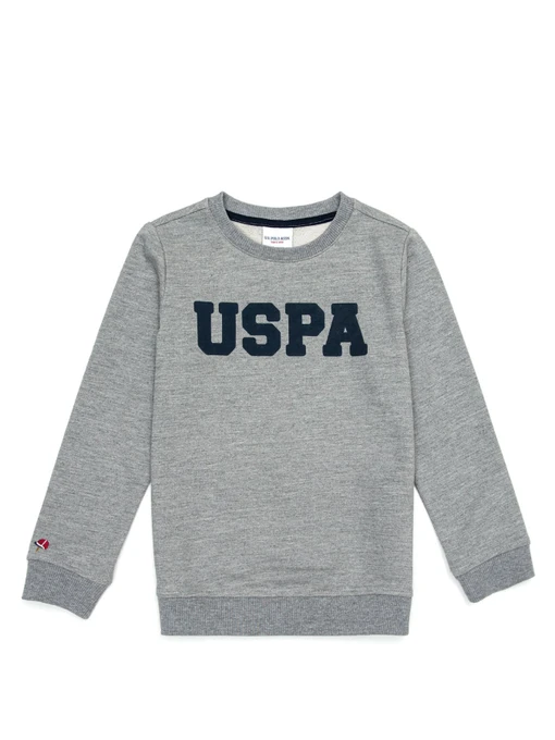 Худи и свитшоты US Polo модель G083SZ082.000.1259385.VR086 Фото
