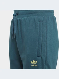 Брюки Adidas модель IJ9798 Фото