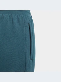 Брюки Adidas модель IJ9798 Фото