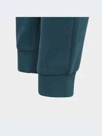 Брюки Adidas модель IJ9798 Фото