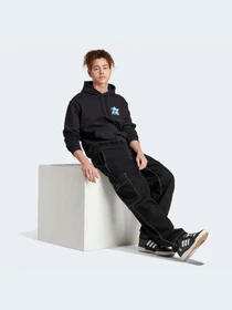 Худи и свитшоты Adidas Graphics модель II8168 Фото