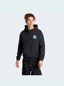 Худи и свитшоты Adidas Graphics модель II8168 Фото