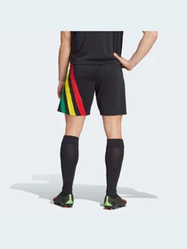 Шорты Adidas модель IK5736 Фото