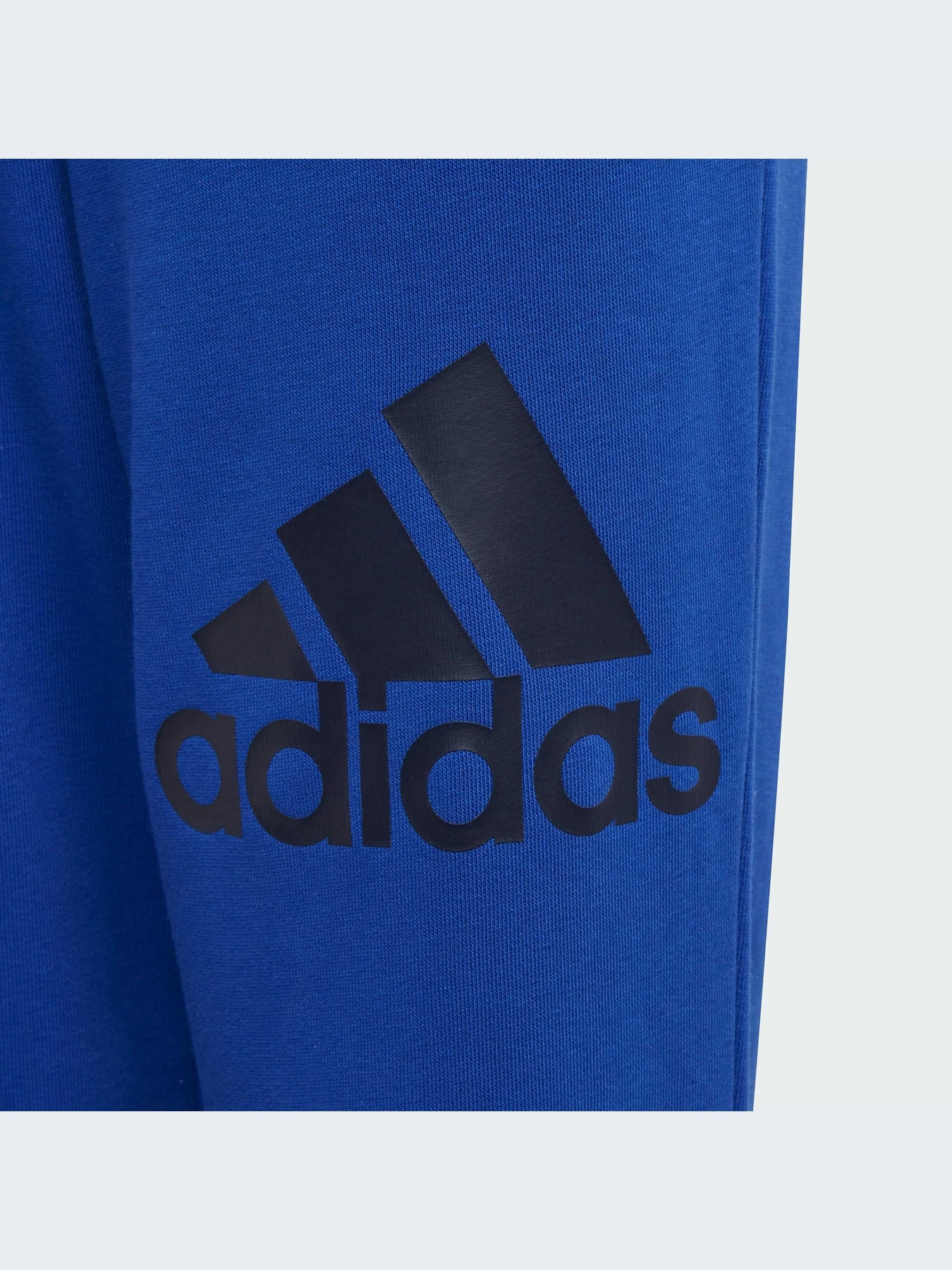 Штани Adidas модель IJ6301 Штани Adidas модель IJ6301 Фото