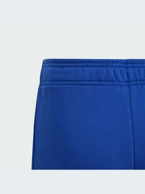 Штани Adidas модель IJ6301 Фото