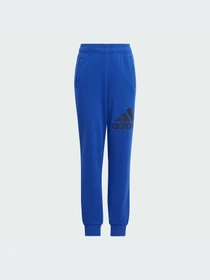 Штани Adidas модель IJ6301 Фото