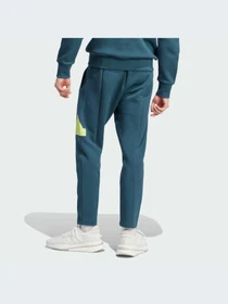 Брюки Adidas модель IJ6401 Фото