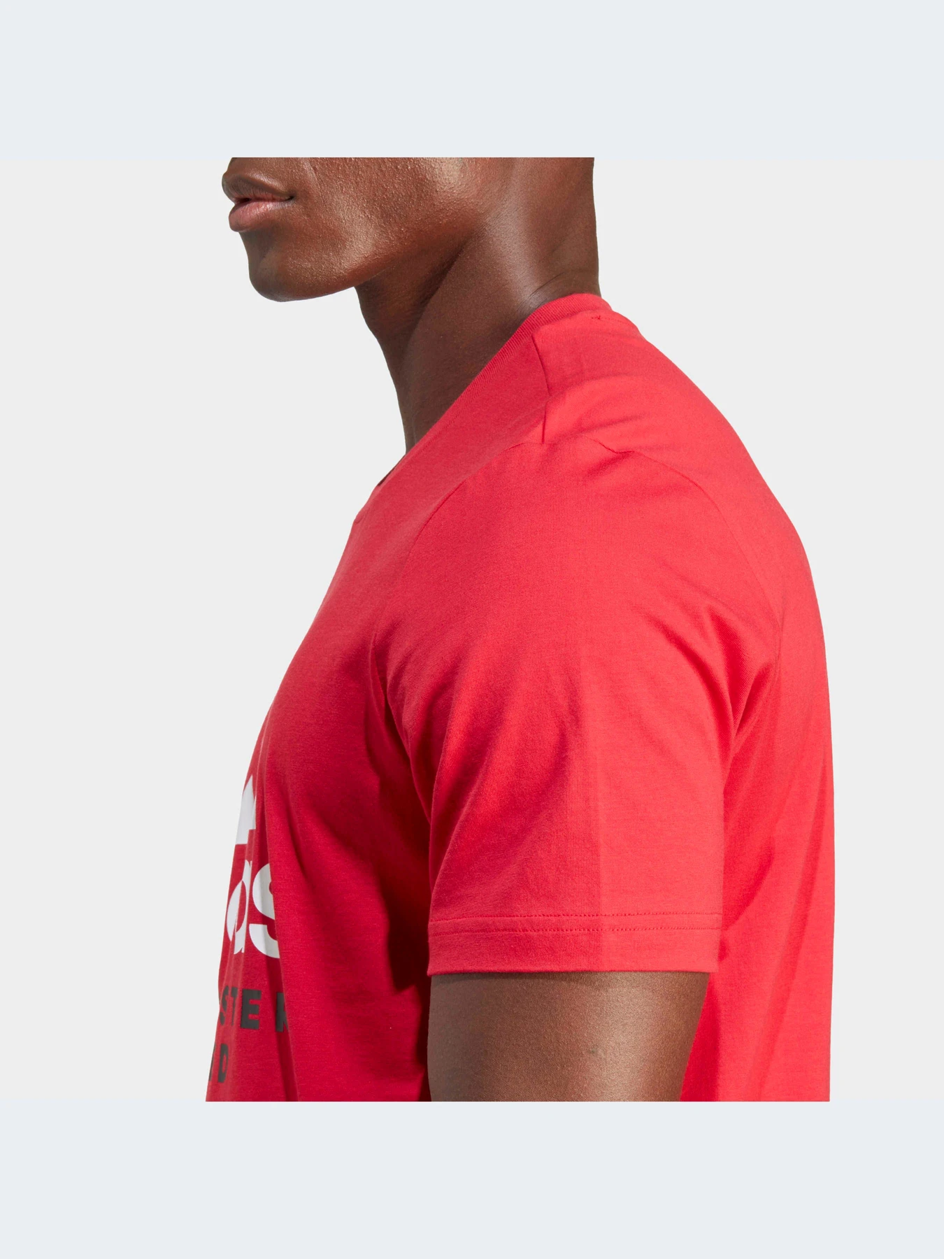 Футболки і поло Adidas модель IA8520 Футболки і поло Adidas модель IA8520 Фото