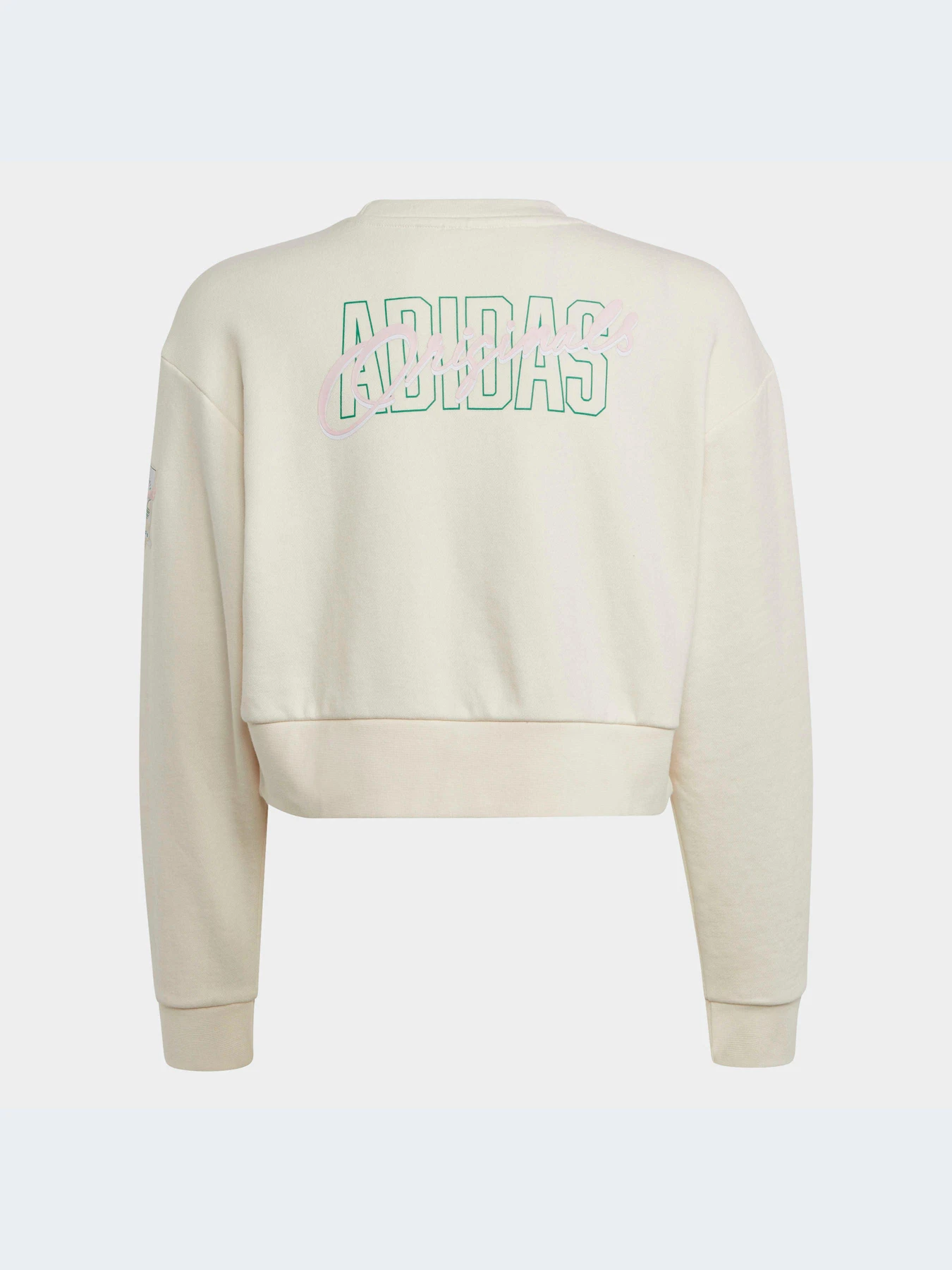 Худі та світшоти Adidas Graphics модель IB8455 Фото