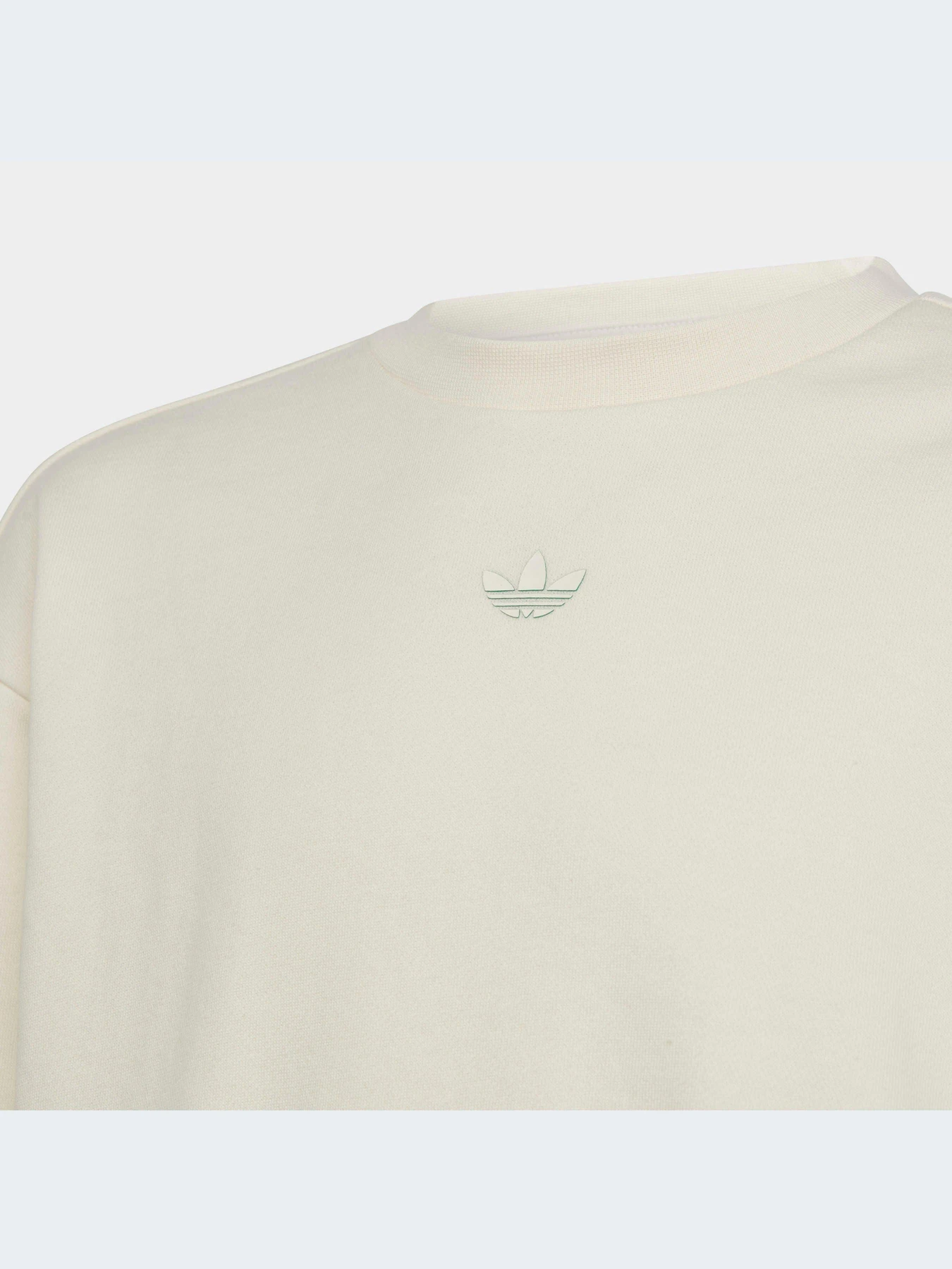 Худі та світшоти Adidas Graphics модель IB8455 Фото