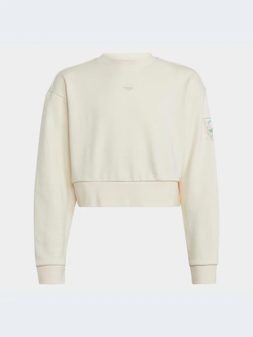 Худи и свитшоты Adidas Graphics модель IB8455 Фото