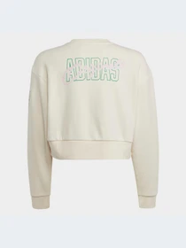 Худі та світшоти Adidas Graphics модель IB8455 Фото
