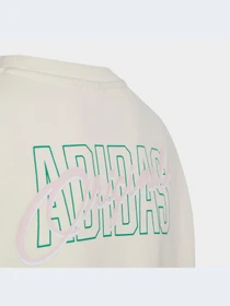 Худі та світшоти Adidas Graphics модель IB8455 Фото