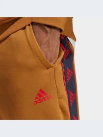 Брюки Adidas модель IC6796 Фото