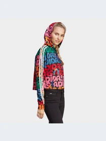 Худи и свитшоты Adidas 3 Stripes модель HS1195 Фото