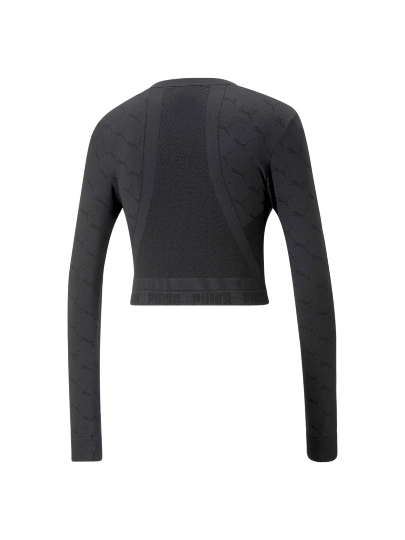 Худи и свитшоты PUMA EVOKNIT Longsleeve Tee модель 673092 Худи и свитшоты PUMA EVOKNIT Longsleeve Tee модель 673092 Фото