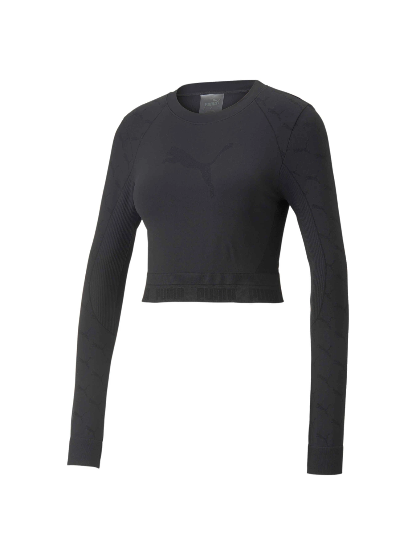 Худи и свитшоты PUMA EVOKNIT Longsleeve Tee модель 673092 Худи и свитшоты PUMA EVOKNIT Longsleeve Tee модель 673092 Фото