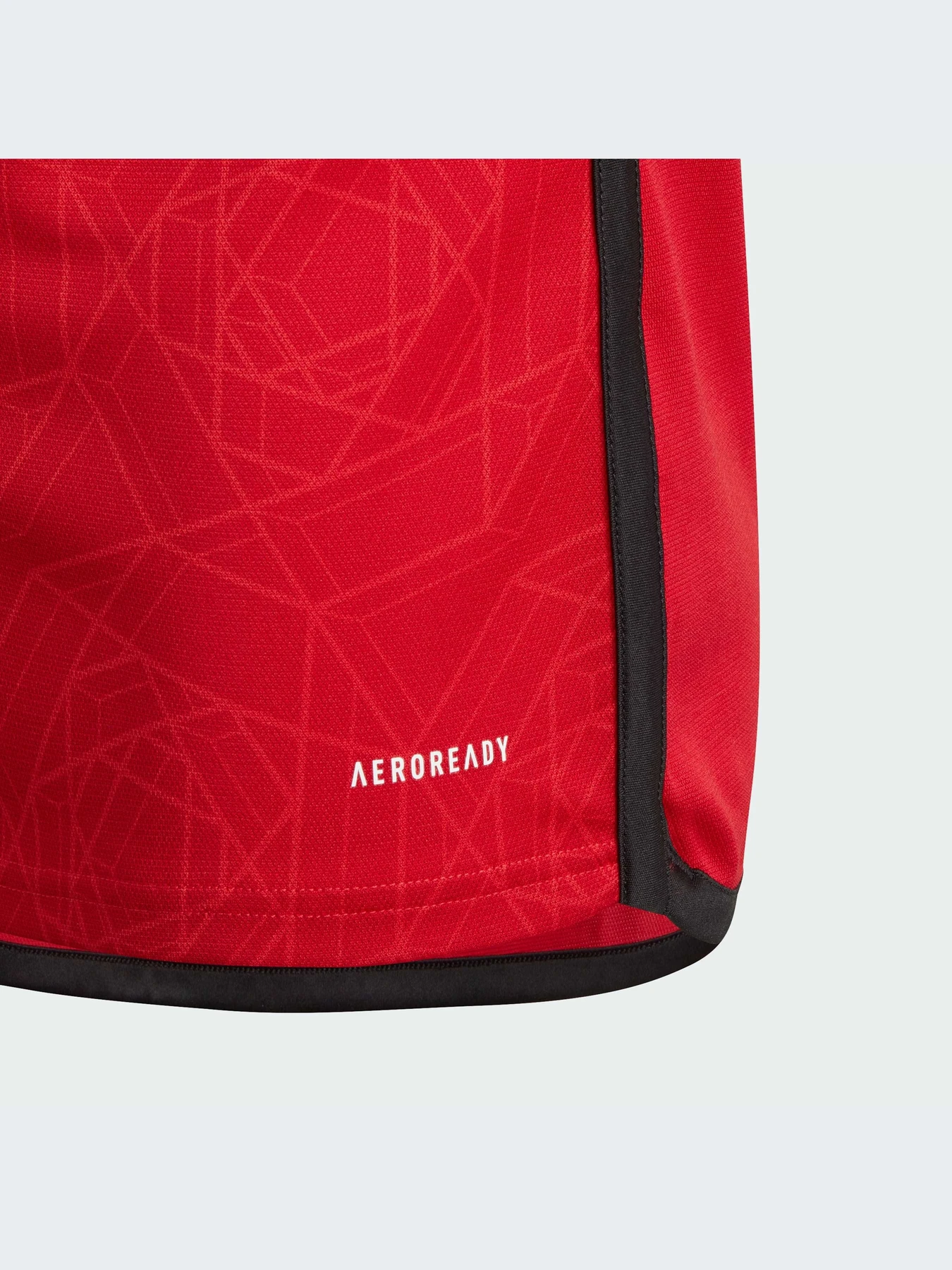 Футболки і поло Adidas модель IP1736 Футболки і поло Adidas модель IP1736 Фото