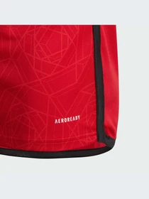 Футболки і поло Adidas модель IP1736 Фото