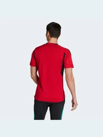 Футболки и поло Adidas модель IP1726 Фото
