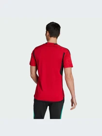 Футболки и поло Adidas модель IP1726 Фото