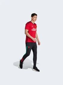 Футболки и поло Adidas модель IP1726 Фото