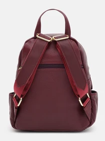 Рюкзаки Keizer модель K1172bur-bordo Фото