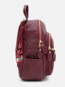 Рюкзаки Keizer модель K1172bur-bordo Фото