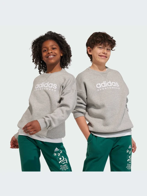 Худи и свитшоты Adidas модель IL4931 Фото