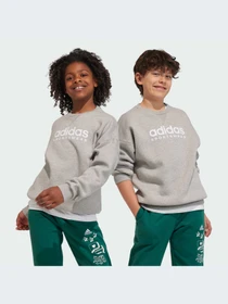Худи и свитшоты Adidas модель IL4931 Фото